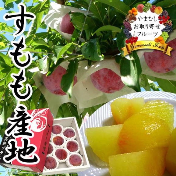 お中元 すもも ギフト 山梨産 プラム サマーエンジェルスモモ 8 10個入 山梨お取り寄せフルーツの通販 お取り寄せなら ぐるすぐり お中元 すもも ギフト 山梨産 プラム サマーエンジェルスモモ 8 10個入 山梨お取り寄せフルーツの通販 お取り寄せなら ぐるすぐり