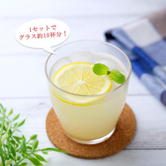 糀でつくる手作りジンジャーエールの素 ピーネオンラインショップの通販 お取り寄せなら ぐるすぐり
