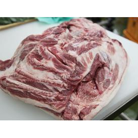 豚うで肉・ブロック アメリカ・カナダ他 約1kg 冷凍