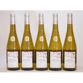 フランス 金賞受賞白ワイン ドメーヌ・ライレール ミュスカデ・セーブルエメーヌ・シュルリー2018 750ml×5本