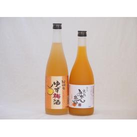 果物梅酒セット ゆず梅酒×完熟みかん梅酒 中野BC(和歌山県)720ml×2本