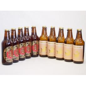 赤味噌クラフトビール飲み比べ10本セット(プラチナエール 名古屋赤味噌ラガー) 330ml×10本
