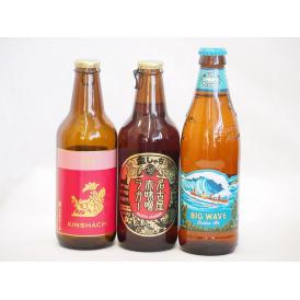 クラフトビール3本セット(アルト 名古屋赤味噌ラガー ビッグウェーブ・ゴールデンエール) 330ml