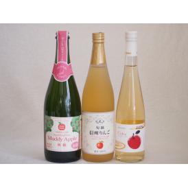 りんご果汁100％ジュースとりんごのお酒3本セット(信州りんご果汁100% 丹波シードルやや甘口 青