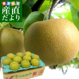 栃木県より産地直送 JAうつのみやの梨 大玉限定 4Lサイズ以上 秀品 約5キロ (7玉から12玉) 送料無料 ※品種をお選びください。