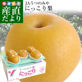 農家さんの理想の梨！栃木県宇都宮市の巨大梨