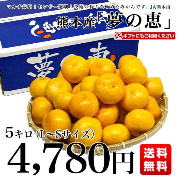 送料無料 熊本県より産地直送 Ja熊本市 夢未来プレミアムみかん 夢の恵 Lからsサイズ 5キロ 40玉から60玉 産直だよりの通販 お取り寄せなら ぐるすぐり