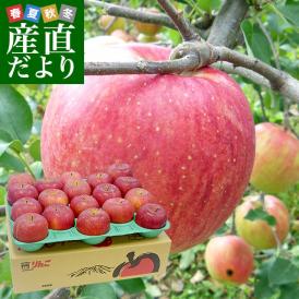 長野県より産地直送 JAながの 飯綱地区 サンふじ 赤秀以上 5キロ (14玉から20玉) 送料無料 林檎 りんご リンゴ