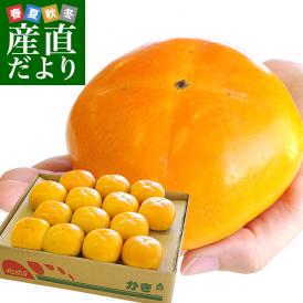 和歌山県より産地直送 JA紀の里 たねなし柿 大玉3Lサイズ 3.75キロ(14玉入) カキ かき 柿 送料無料