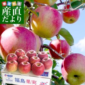 福島県より産地直送 JAふくしま未来「陽光」秀品 約2.8キロ(8玉から10玉) りんご 林檎 リンゴ  送料無料