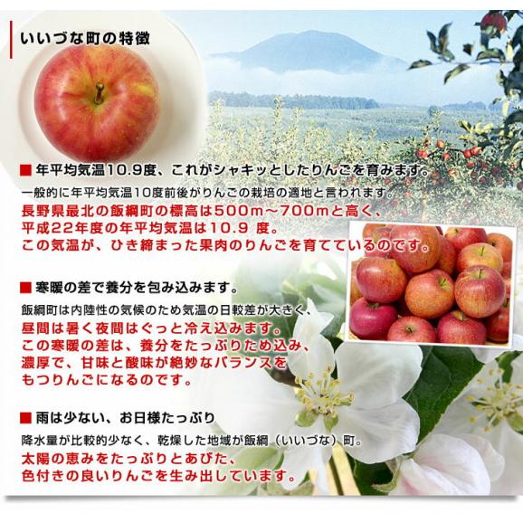 長野県より産地直送 Jaながの飯綱地区 サンふじ 最高等級 グルメ 5キロ 16玉から18玉 送料無料 林檎 りんご リンゴ 産直だよりの通販 お取り寄せなら ぐるすぐり