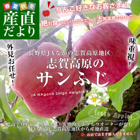 長野県より産地直送　JAながの　志賀高原のサンふじリンゴ　ご家庭用　約5キロ　(12から20玉)　送料無料 林檎　りんご　リンゴ02