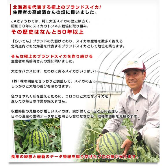 北海道より産地直送 Jaきょうわ らいでんスイカ 超特大 秀品5lサイズ 10キロ以上 すいか 西瓜 送料無料 産直だよりの通販 お取り寄せなら ぐるすぐり