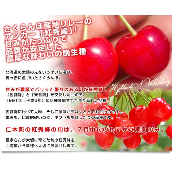 北海道から産地直送 Ja新おたる 仁木町のさくらんぼ 紅秀峰 秀品 2lサイズ 1キロ 500g 2パック入 送料無料 サクランボ クール便 産直だよりの通販 お取り寄せなら ぐるすぐり 北海道から産地直送 Ja新おたる 仁木町のさくらんぼ 紅秀峰 秀品 2lサイズ 1キロ 500g 2パック入 送料無料 サクランボ クール便 産直だよりの通販 お取り寄せなら ぐるすぐり