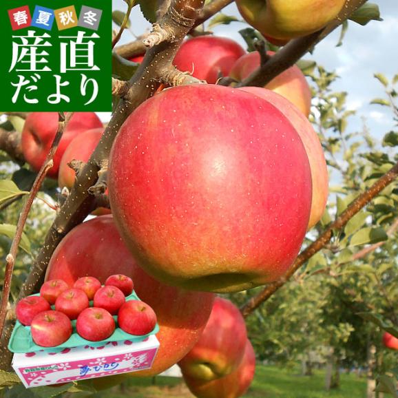青森県より産地直送 Jaつがる弘前 夢ひかり 3キロ 9玉から13玉 林檎 リンゴ りんご 送料無料 産直だよりの通販 お取り寄せなら ぐるすぐり