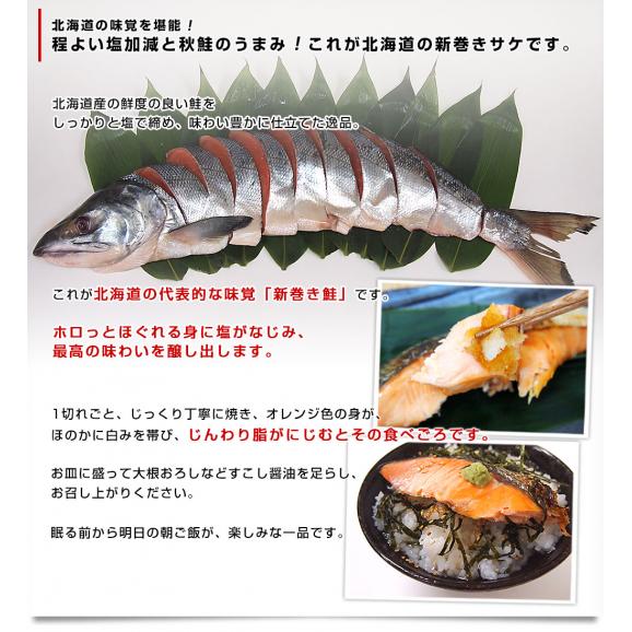  北海道産　姿切り身 大型の鮭 まるごと1尾分　3キロ　北海道サケ　シャケ 秋鮭04