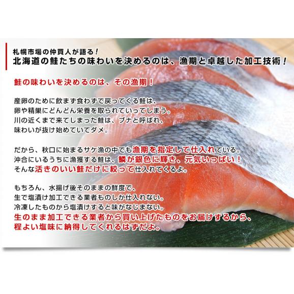  北海道産　姿切り身 大型の鮭 まるごと1尾分　3キロ　北海道サケ　シャケ 秋鮭06