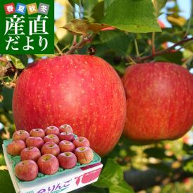 岩手県より産地直送 JAいわて中央 品種が選べる 皮ごとまるごと！特別栽培りんご 約5キロ (14玉から25玉) 林檎 リンゴ 送料無料