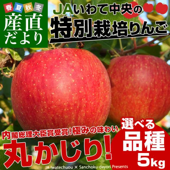 岩手県より産地直送 JAいわて中央 皮ごとまるごと！特別栽培りんご 5キロ (14玉から25玉) 林檎 リンゴ 送料無料　御歳暮 お歳暮 ギフト02