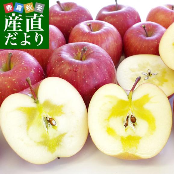 岩手県より産地直送 Jaいわて中央 完熟サンふじりんご じゅくりん 5キロ 16玉から23玉 林檎 リンゴ 送料無料 産直だよりの通販 お取り寄せなら ぐるすぐり 岩手県より産地直送 Jaいわて中央 完熟サンふじりんご じゅくりん 5キロ 16玉から23玉 林檎 リンゴ 送料無料 産直だよりの通販 お取り寄せなら ぐるすぐり