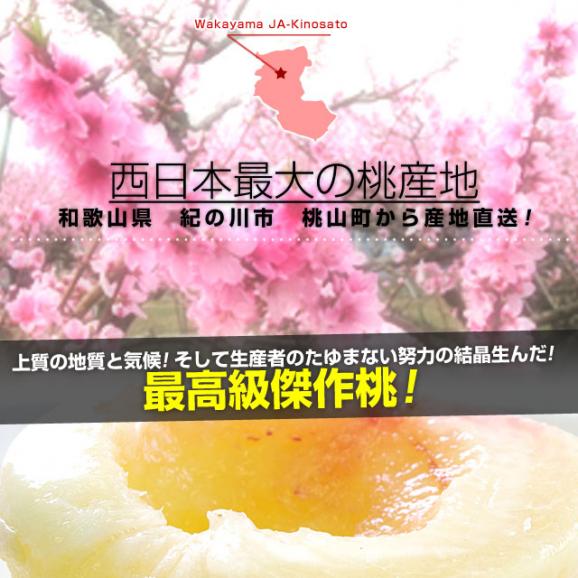 和歌山県より産地直送 JA紀の里 あら川の桃 赤秀品 1.8キロ (6玉から8玉) 送料無料 桃 もも あらかわ　お中元　ギフト