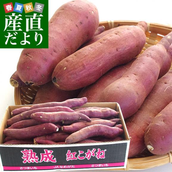 茨城県より産地直送 Jaなめがたしおさい さつまいも 熟成紅こがね Sサイズ 約5キロ 25本から30本 送料無料 行方 薩摩芋 産直だよりの通販 お取り寄せなら ぐるすぐり 茨城県より産地直送 Jaなめがたしおさい さつまいも 熟成紅こがね Sサイズ 約5キロ 25本から30本 送料無料 行方 薩摩芋 産直だよりの通販 お取り寄せなら ぐるすぐり