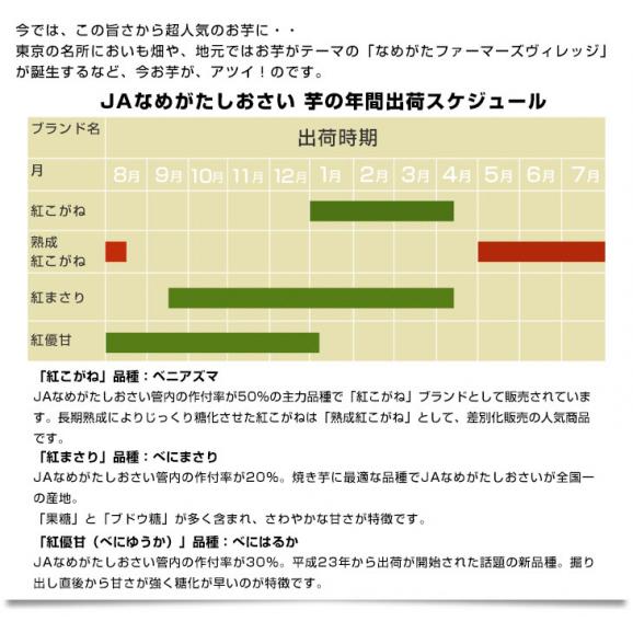 茨城県より産地直送 Jaなめがたしおさい さつまいも 熟成紅こがね Sサイズ 約5キロ 25本から30本 送料無料 行方 薩摩芋 産直だよりの通販 お取り寄せなら ぐるすぐり