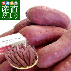 茨城県より産地直送 JAなめがたしおさい さつまいも「紅優甘 (べにゆうか)」 Sサイズ 5キロ(25本から30本) 送料無料 さつま芋 サツマイモ 薩摩芋