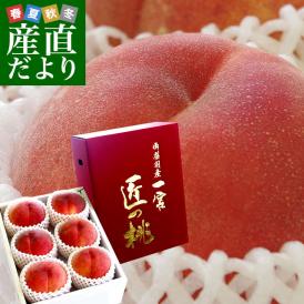 桃の生産日本最大級を誇る桃源郷の里、一宮のもも！