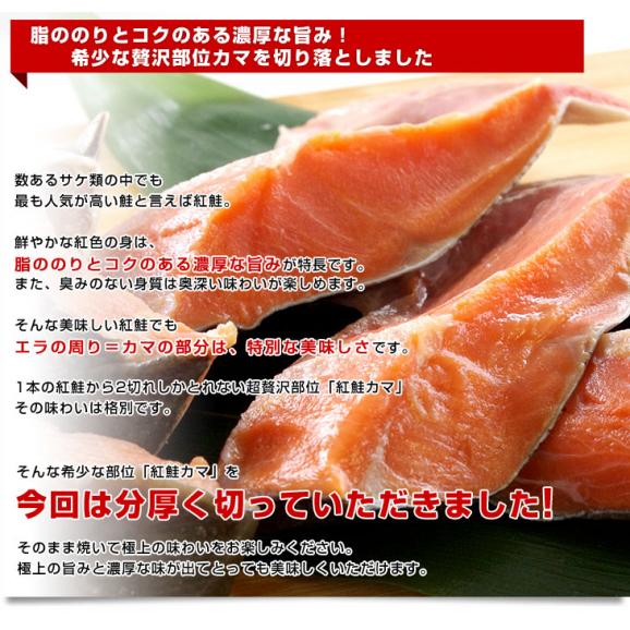 送料無料　北海道から直送　北海道加工　脂たっぷりの紅鮭カマ（ロシア産）500g（約4から7切）×2袋セット04
