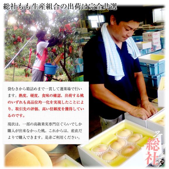 岡山県から産地直送 Ja晴れの国岡山 総社もも生産部会 総社 そうじゃ の桃 青秀以上 1 5キロ前後 4玉から6玉 総社の桃 モモ 送料無料 産直だよりの通販 お取り寄せなら ぐるすぐり