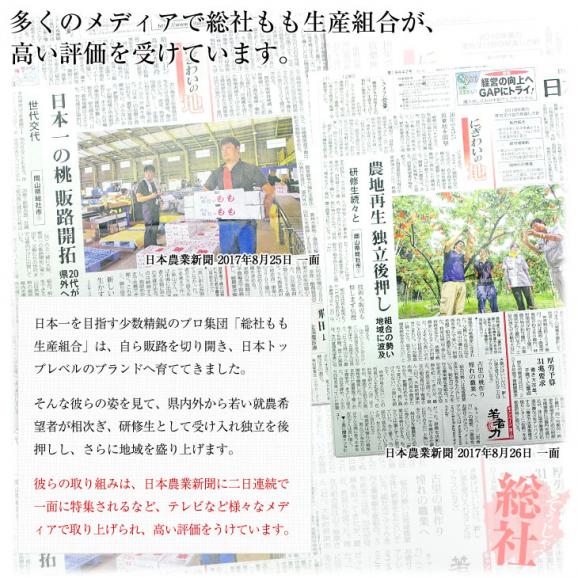 岡山県から産地直送 Ja晴れの国岡山 総社もも生産部会 総社 そうじゃ の桃 青秀以上 1 5キロ前後 4玉から6玉 総社の桃 モモ 送料無料 産直だよりの通販 お取り寄せなら ぐるすぐり 岡山県から産地直送 Ja晴れの国岡山 総社もも生産部会 総社 そうじゃ の桃 青秀以上 1 5キロ前後 4玉から6玉 総社の桃 モモ 送料無料 産直だよりの通販 お取り寄せなら ぐるすぐり