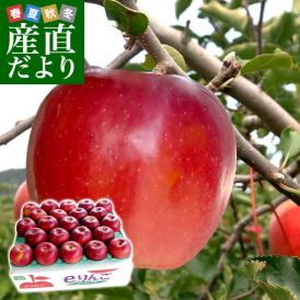 岩手県より産地直送 JAいわて中央 特別栽培りんご 紅玉 5キロ(20玉から25玉) こうぎょく 林檎 リンゴ 送料無料