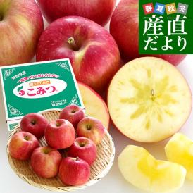青森県産 JA津軽みらい 蜜入りりんご「こみつ」 秀品 2キロ (7玉から11玉) 送料無料 林檎 りんご