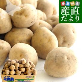 北海道より産地直送 JAとうや湖 じゃがいも 湖ばれいしょ「男爵」 Mサイズ 10キロ 馬鈴薯 ジャガイモ  送料無料