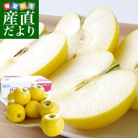 送料無料 岩手県より産地直送 JAいわて中央 こうこう 5キロ (14から20玉) 林檎 りんご リンゴ