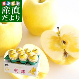 岩手県より産地直送 JA全農いわて いわて純情りんご 冬恋（品種：はるか） 約2.5キロ (7から10玉) 送料無料 林檎 りんご リンゴ