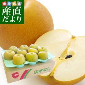 栃木県より産地直送 JAはが野の梨 (大玉限定) 優品以上 約5キロ (8玉から14玉) なし ナシ 送料無料