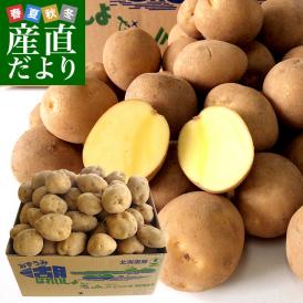 北海道から産地直送 JAとうや湖 じゃがいも 湖ばれいしょ「とうや」 Lサイズ 10キロ 馬鈴薯 ジャガイモ 送料無料
