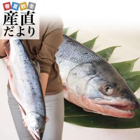 送料無料　北海道から産地直送　北海道産　新巻き鮭（甘塩）　まるごと1尾　2キロ　さけ　サケ