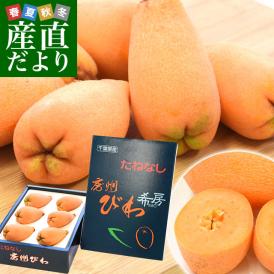 びわの商品一覧｜通販・お取り寄せ・販売【ぐるすぐり】