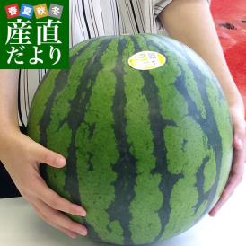 送料無料　熊本県産　JAかもと　大玉スイカ（祭りばやし等）　３Lサイズ　7.5キロ　西瓜　すいか　市場スポット
