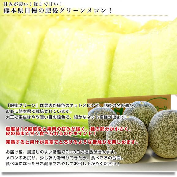 熊本県産 JAやつしろ他 肥後グリーンメロン 優品以上 超盛り 8キロ (約2キロ×4玉) めろん 市場スポット 送料無料04