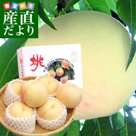 和歌山県より産地直送 JA紀の里 あら川の桃 清水白桃 赤秀品 1.8キロ (6玉から8玉) 送料無料 桃 もも