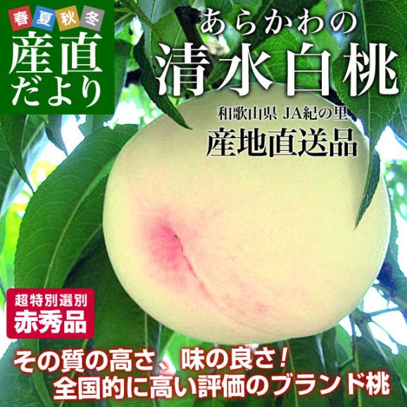 和歌山県より産地直送 JA紀の里 あら川の桃 清水白桃 赤秀品 1.8キロ (6玉から8玉) 送料無料 桃 もも02