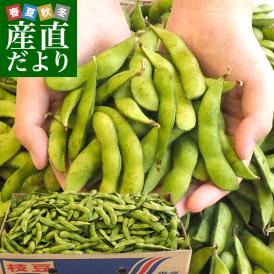 香川県より産地直送 JA香川県 食感がよい大粒の枝豆 たっぷり2キロ 送料無料 えだまめ エダマメ ※クール便