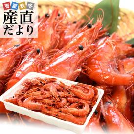 エビ えび 海老 の商品一覧 5ページ目 通販 お取り寄せ 販売 ぐるすぐり