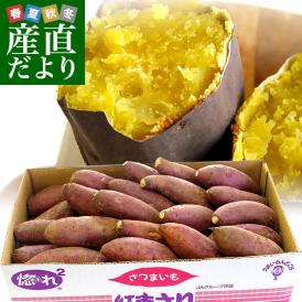 茨城県より産地直送 JAなめがたしおさい さつまいも「紅まさり(べにまさり)」 Sサイズ 約5キロ(25本から30本前後） 送料無料 さつま芋 サツマイモ 薩摩芋