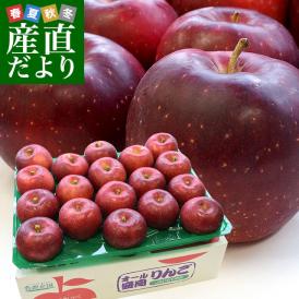 岩手県より産地直送 JA全農いわて 岩手県オリジナル品種 紅いわて 秀品 約5キロ (14から20玉) 送料無料 林檎 りんごリンゴ