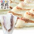 熊本県「天草」の海で育った極上の真鯛を抜群の鮮度でお届けします。